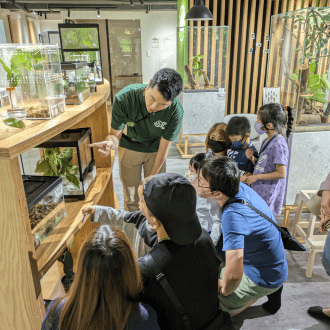 下雨天好去處推薦：蟲蟲巴斯昆蟲館