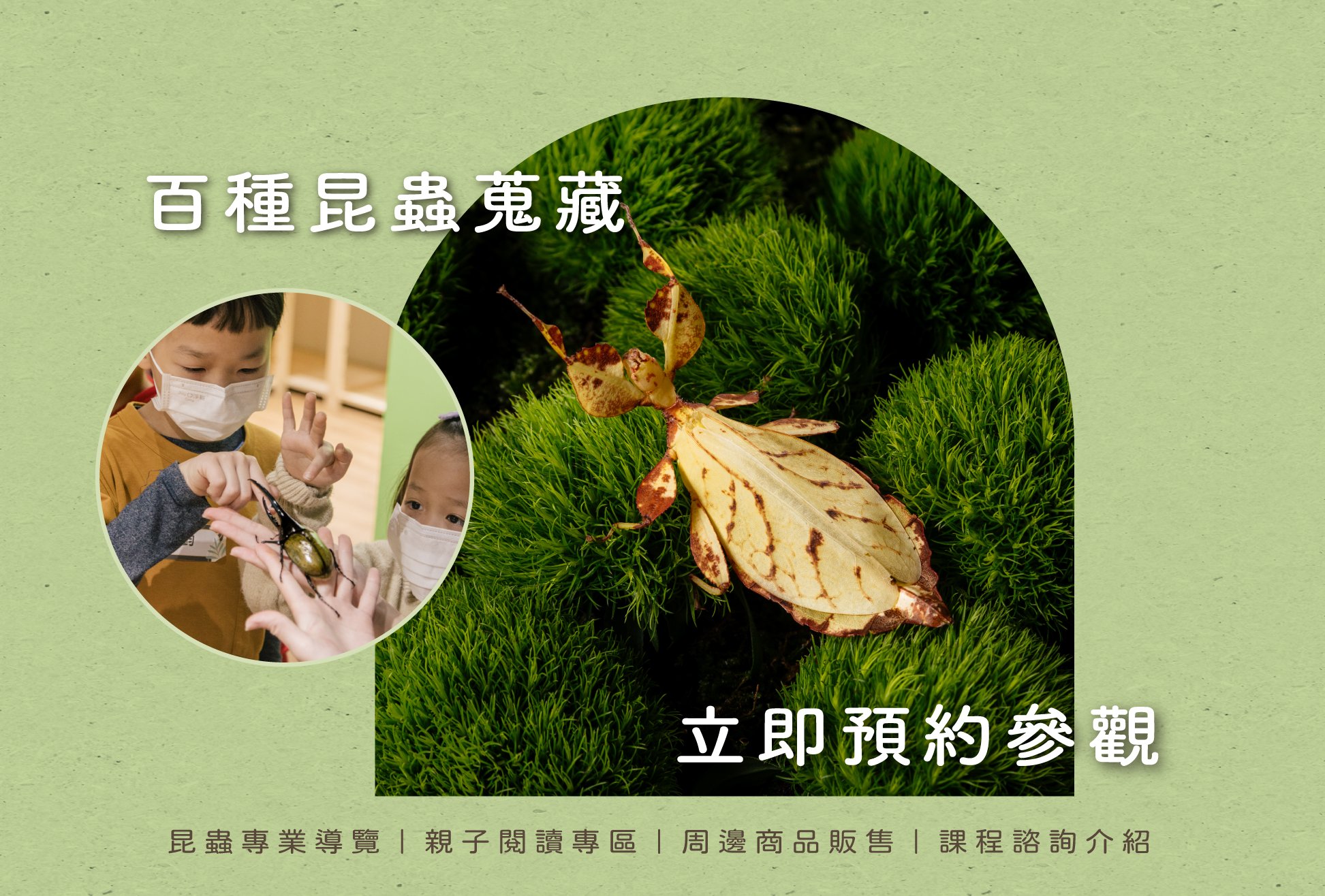 蟲蟲巴斯Entobuzz | 昆蟲生態體驗教育| 蟲蟲巴斯EntoBuzz